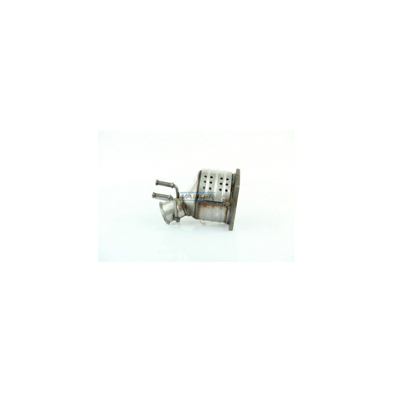 Catalyseur WALKER