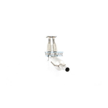Catalyseur WALKER