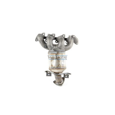 Catalyseur WALKER