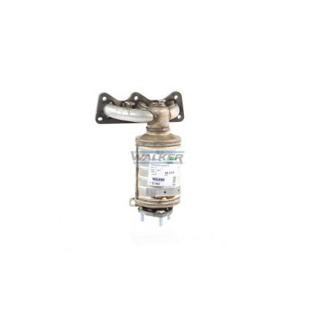 Catalyseur WALKER