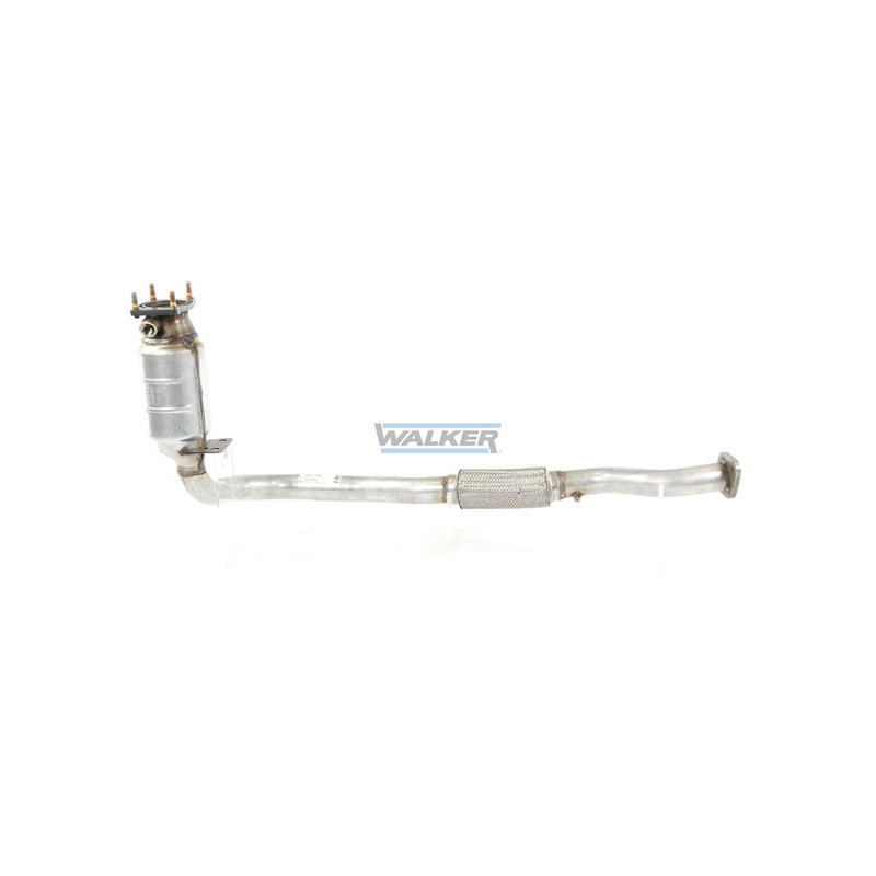 Catalyseur WALKER