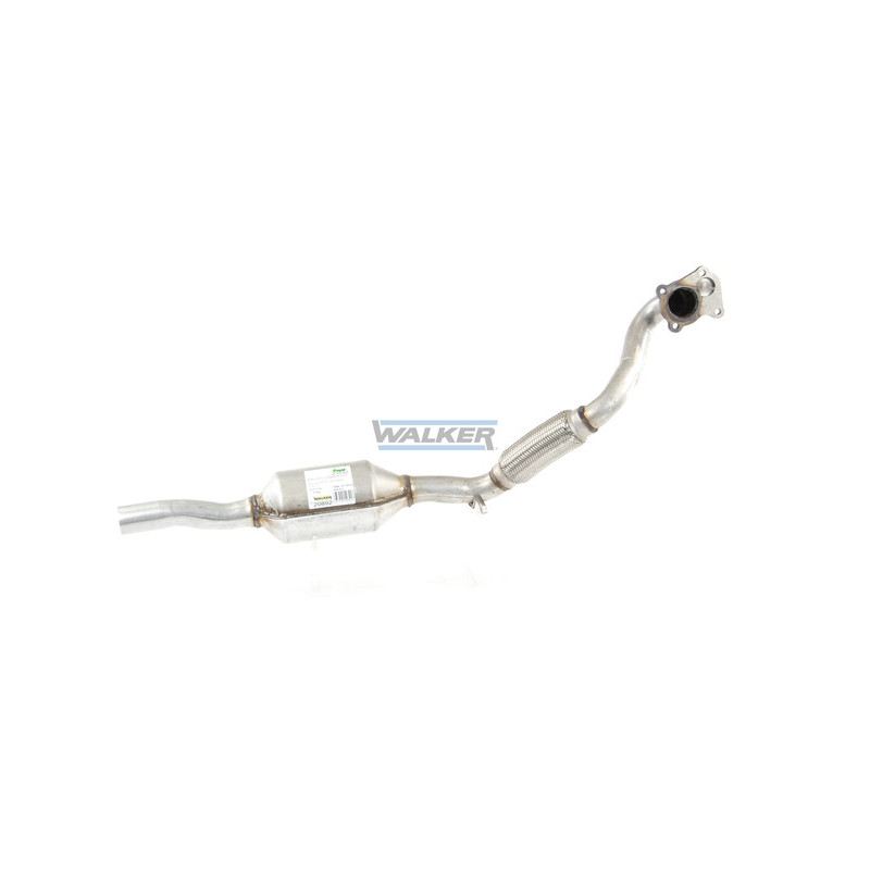 Catalyseur WALKER