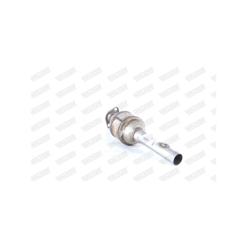 Catalyseur WALKER