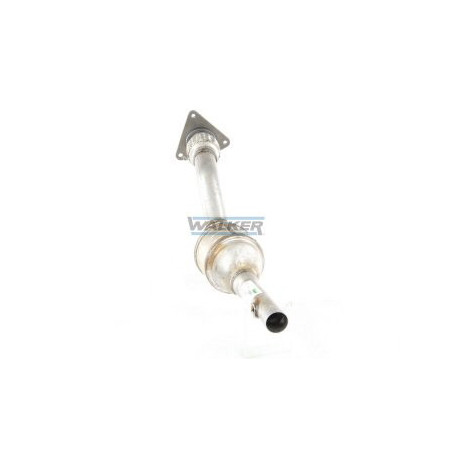 Catalyseur WALKER