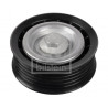 Galet enrouleur (courroie d'accessoire) FEBI BILSTEIN