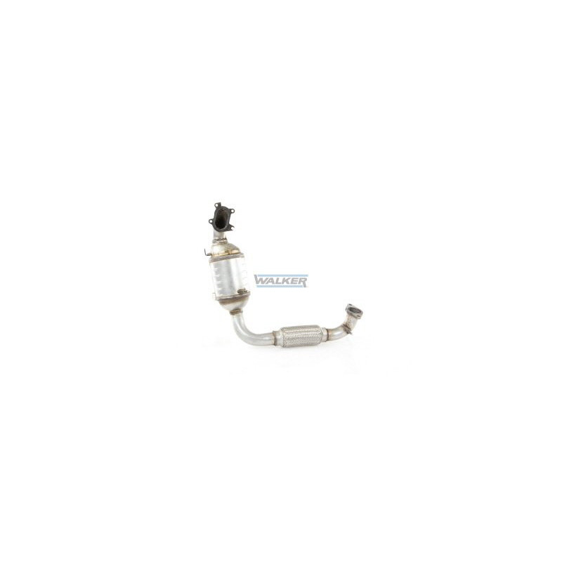 Catalyseur WALKER
