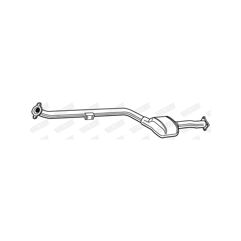 Catalyseur WALKER