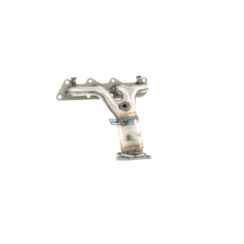 Catalyseur WALKER