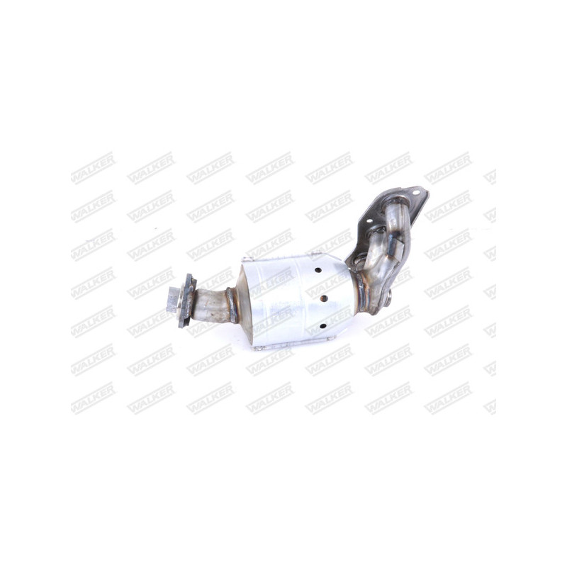 Catalyseur WALKER