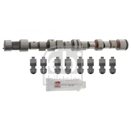 Jeu d'arbres à came FEBI...