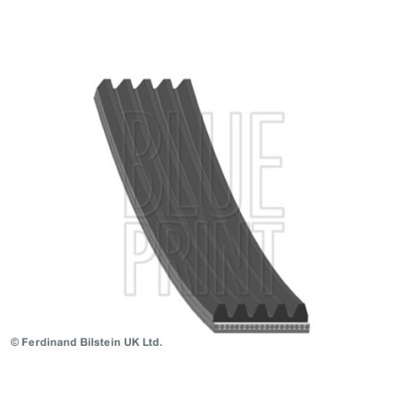 Courroie d'accessoire BLUE...