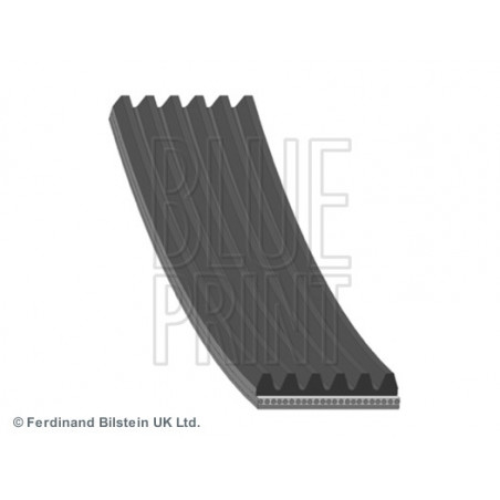 Courroie d'accessoire BLUE...