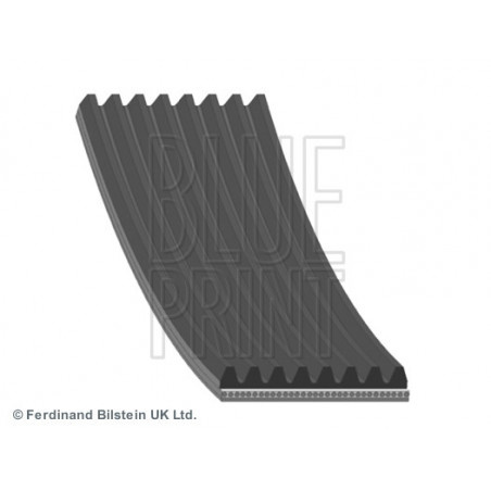 Courroie d'accessoire BLUE...