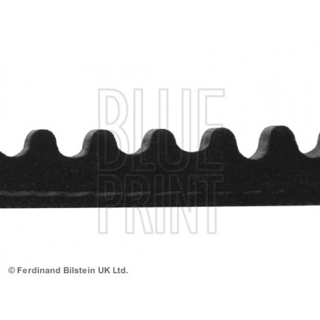 Courroie trapézoïdale BLUE PRINT