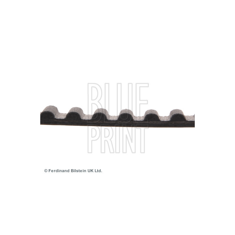 Courroie de distribution BLUE PRINT