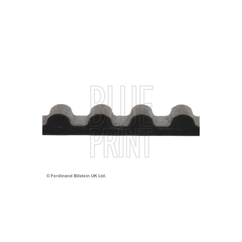 Courroie de distribution BLUE PRINT