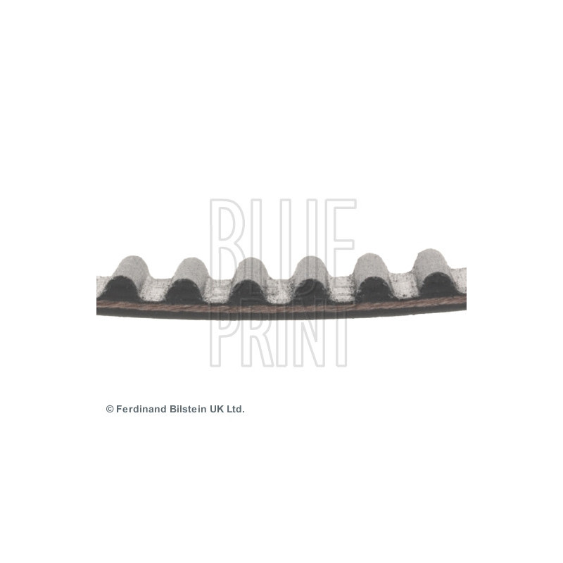 Courroie de distribution BLUE PRINT