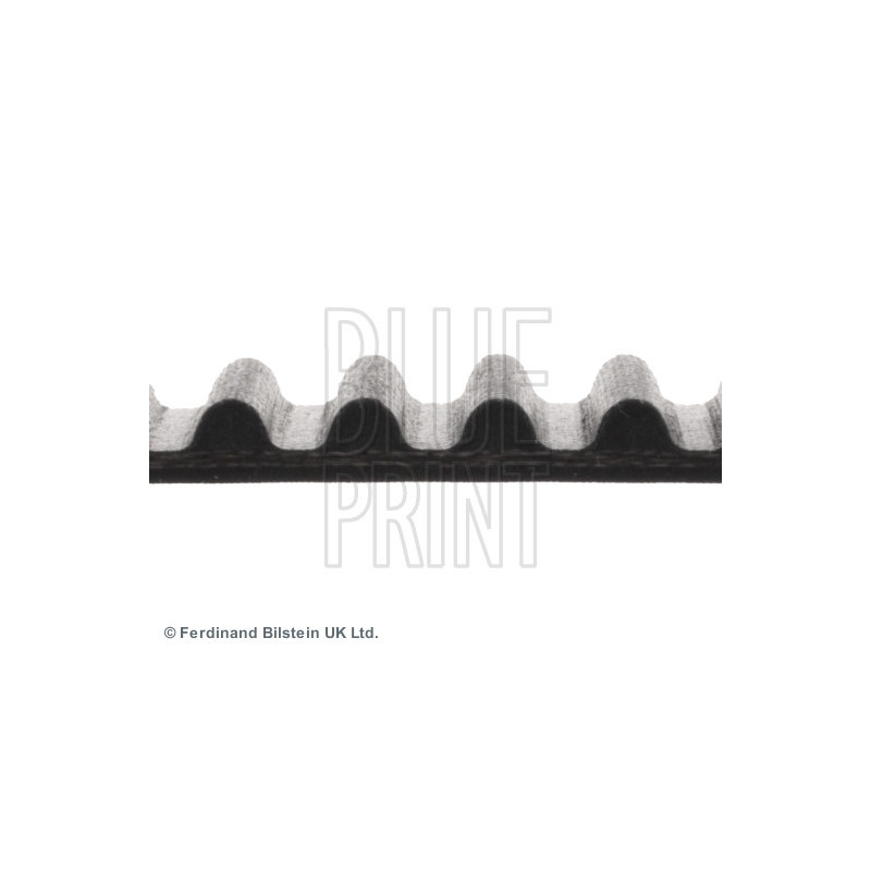 Courroie de distribution BLUE PRINT