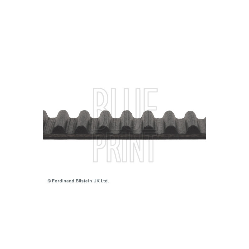 Courroie de distribution BLUE PRINT