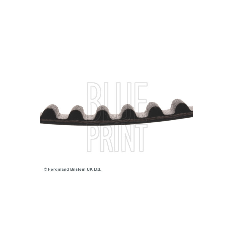 Courroie de distribution BLUE PRINT