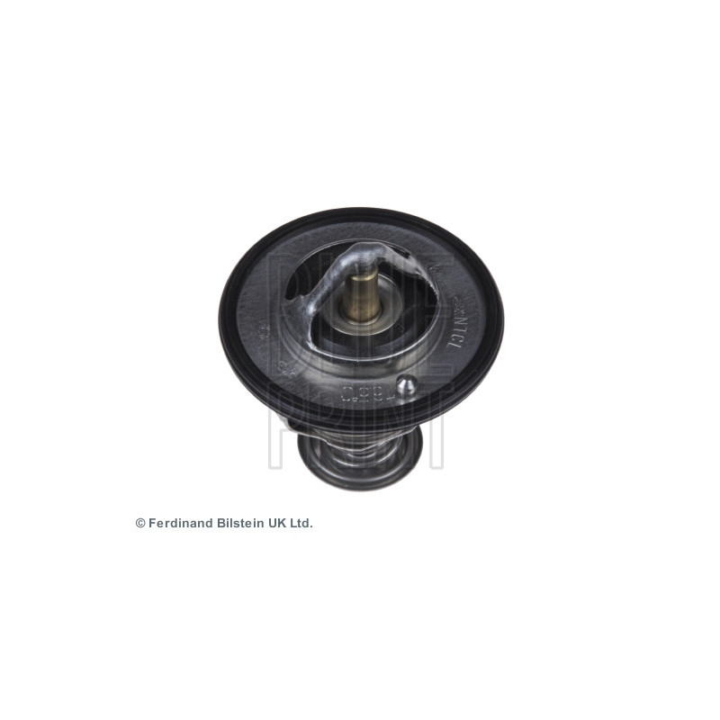 Thermostat d'eau BLUE PRINT