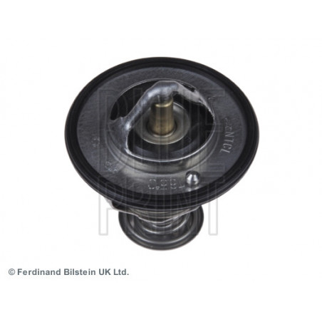 Thermostat d'eau BLUE PRINT