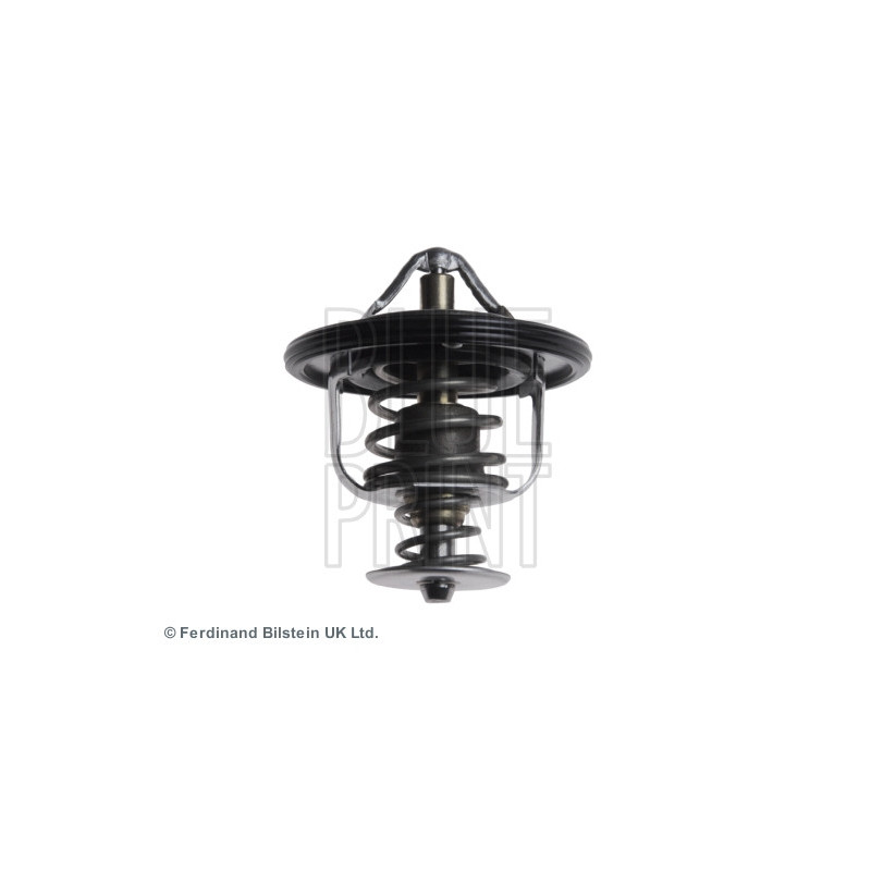 Thermostat d'eau BLUE PRINT