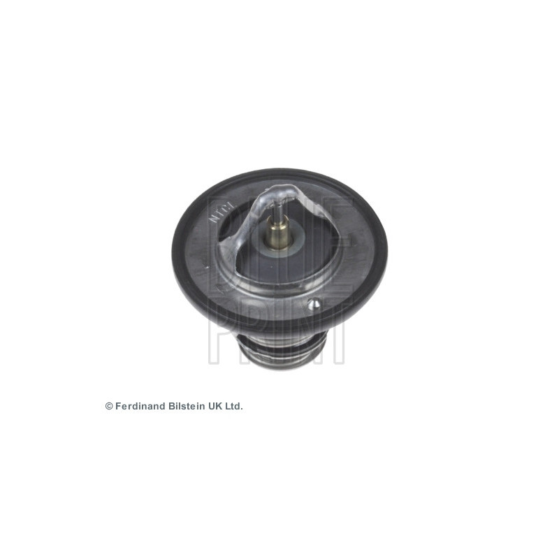 Thermostat d'eau BLUE PRINT