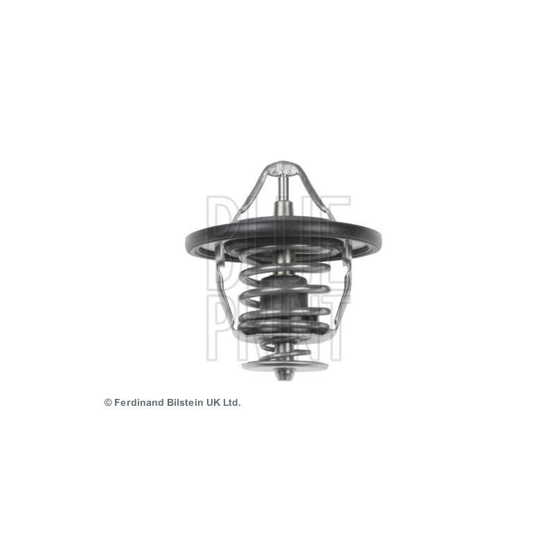 Thermostat d'eau BLUE PRINT