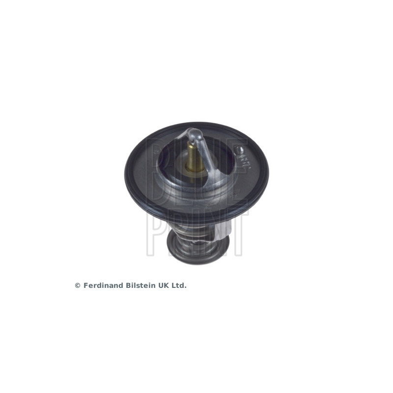 Thermostat d'eau BLUE PRINT