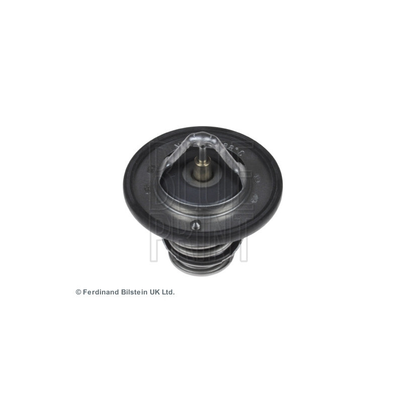 Thermostat d'eau BLUE PRINT