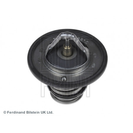 Thermostat d'eau BLUE PRINT