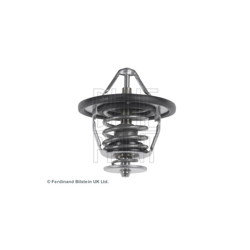 Thermostat d'eau BLUE PRINT