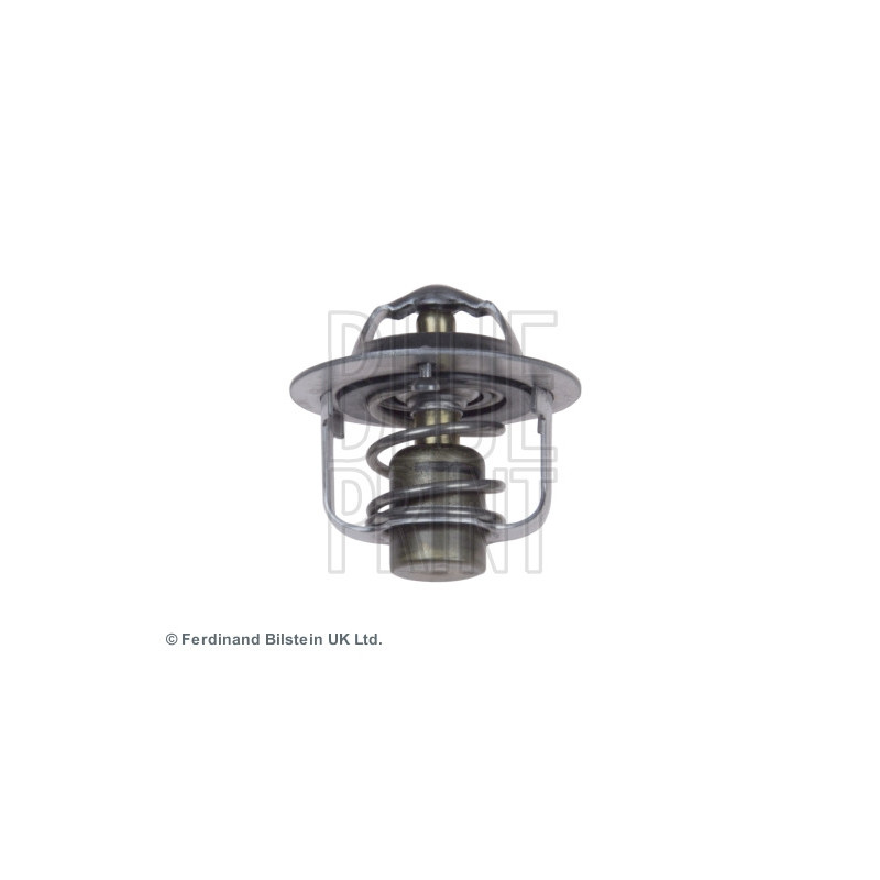 Thermostat d'eau BLUE PRINT