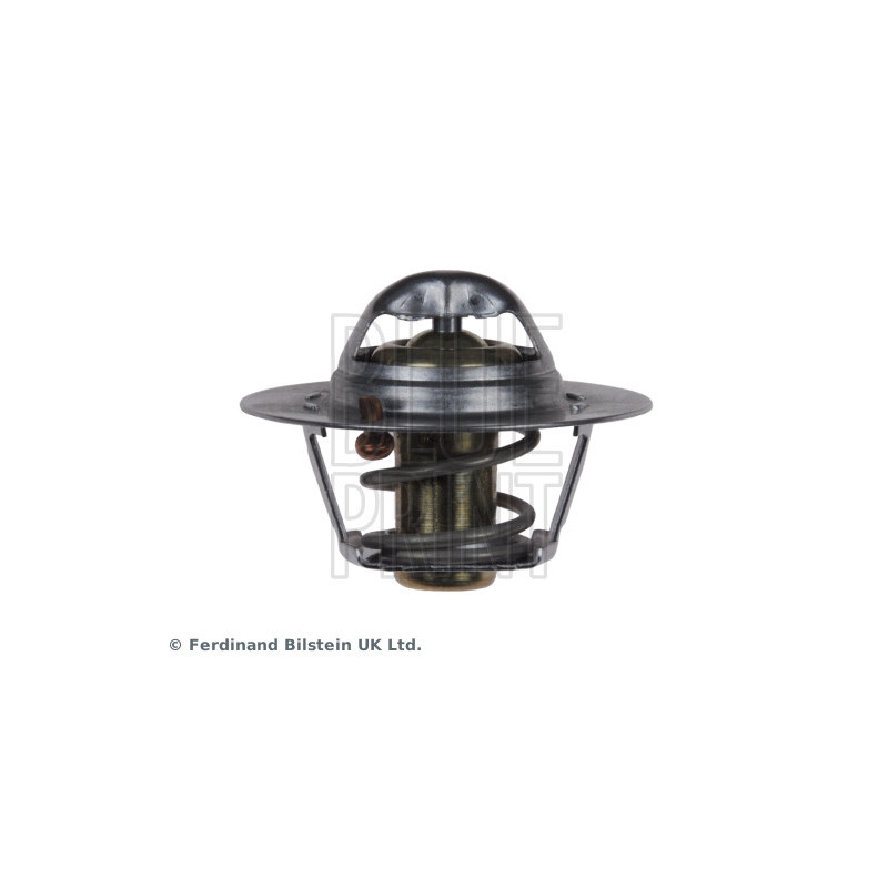 Thermostat d'eau BLUE PRINT