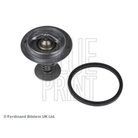 Thermostat d'eau BLUE PRINT