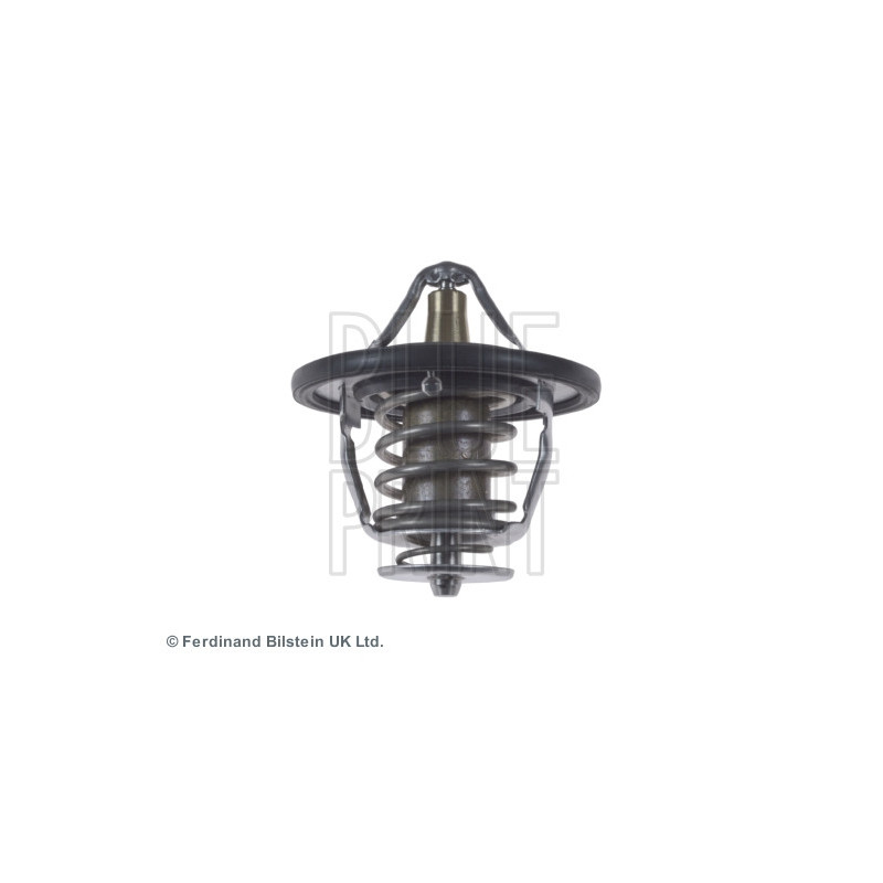 Thermostat d'eau BLUE PRINT