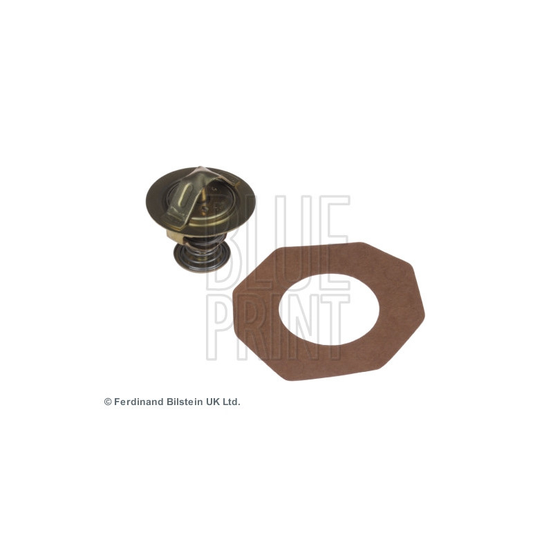 Thermostat d'eau BLUE PRINT