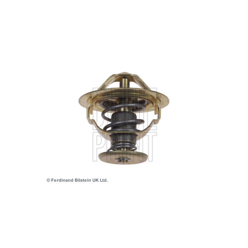 Thermostat d'eau BLUE PRINT