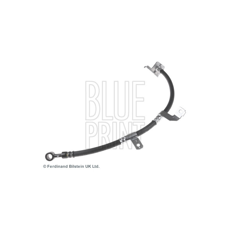 Flexible de frein BLUE PRINT