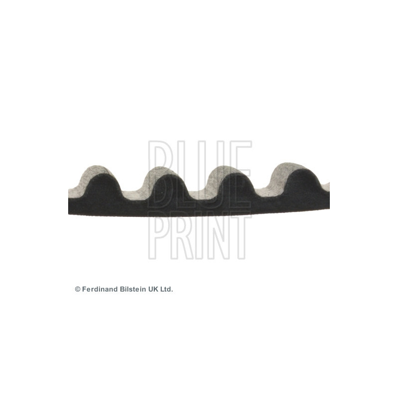 Courroie de distribution BLUE PRINT