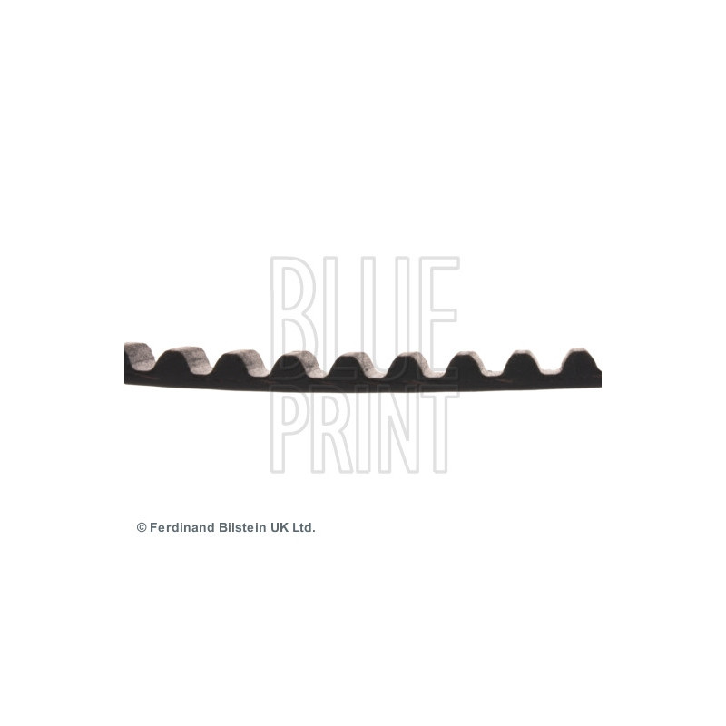 Courroie de distribution BLUE PRINT