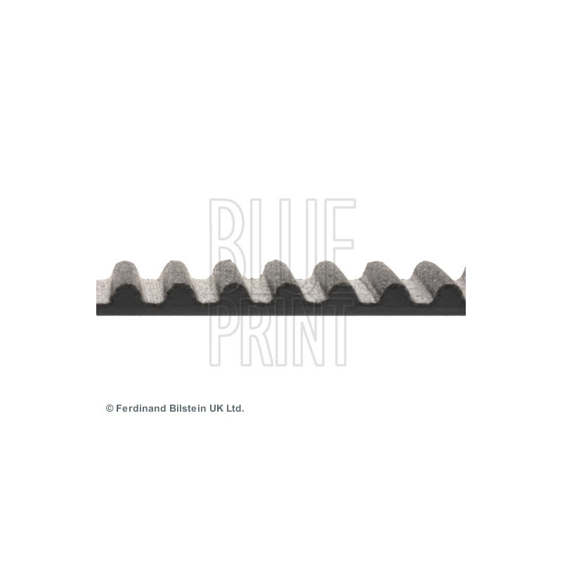 Courroie de distribution BLUE PRINT