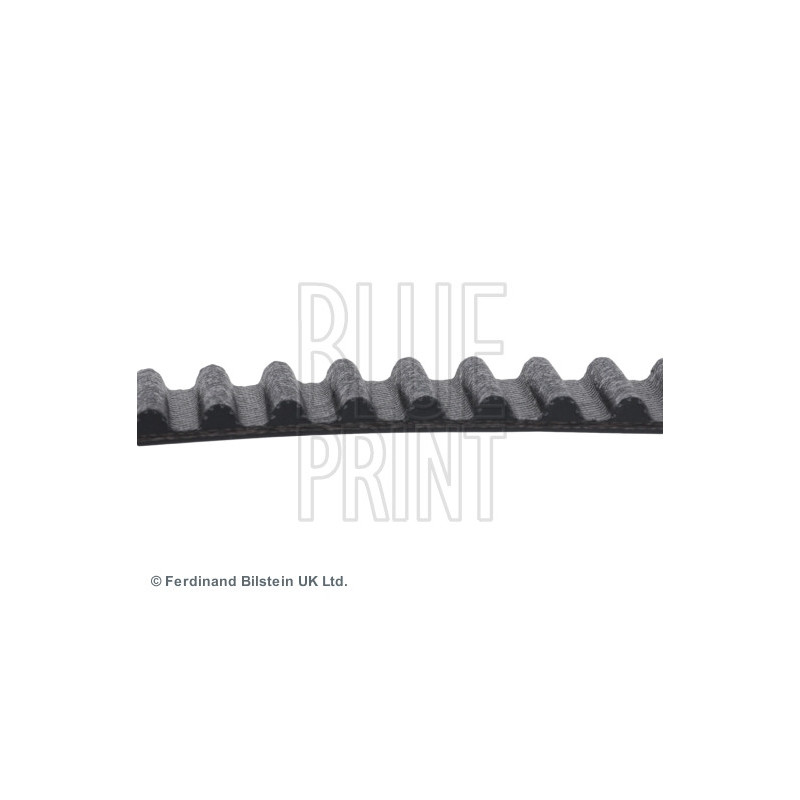 Courroie de distribution BLUE PRINT