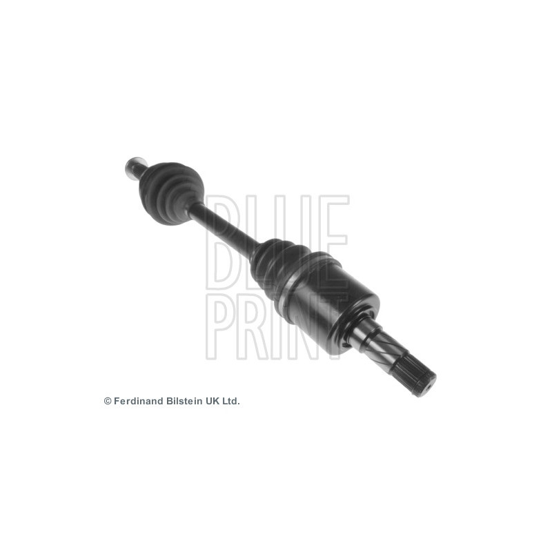 Cardan BLUE PRINT