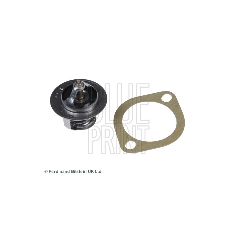 Thermostat d'eau BLUE PRINT