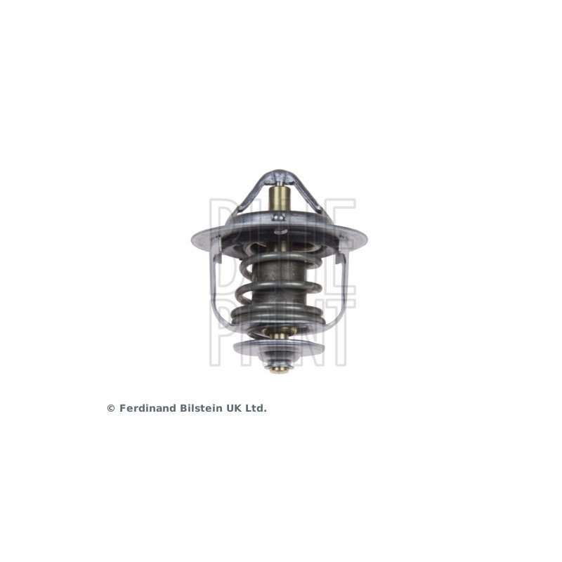 Thermostat d'eau BLUE PRINT