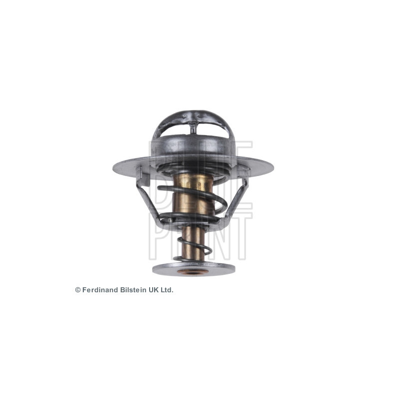Thermostat d'eau BLUE PRINT