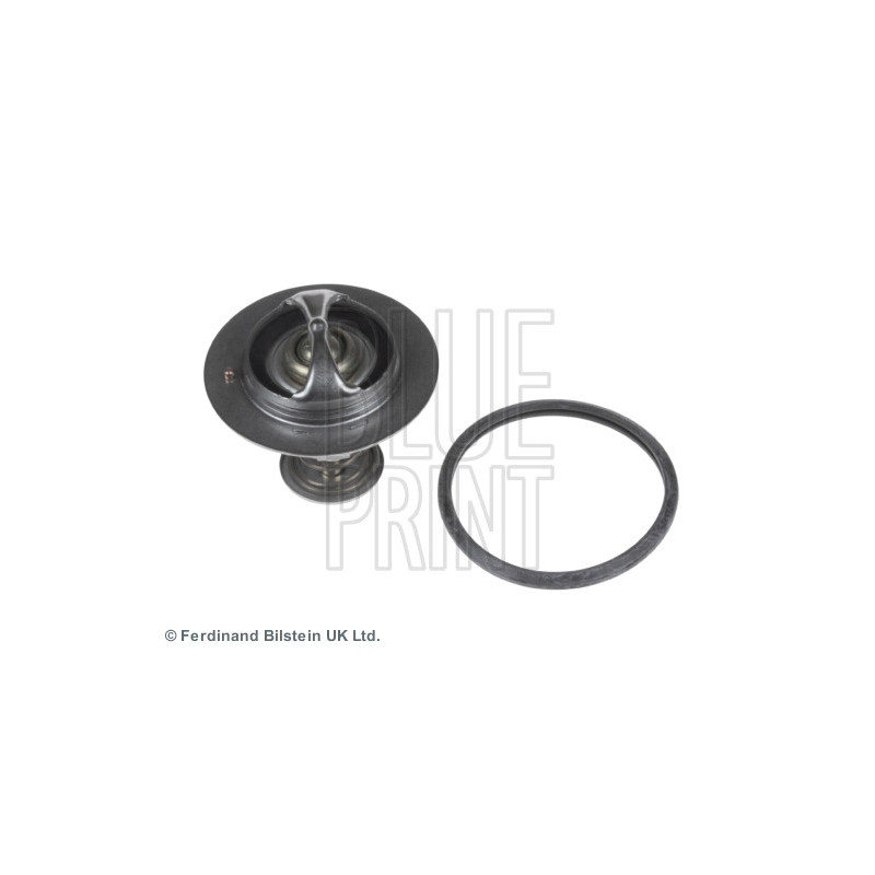 Thermostat d'eau BLUE PRINT