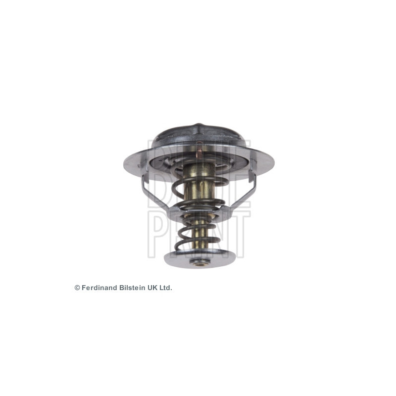 Thermostat d'eau BLUE PRINT